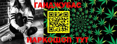 прущие грибы Кандалакша