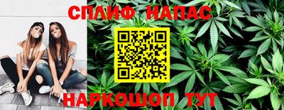 прущие грибы Кандалакша