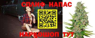 mdma Камышлов