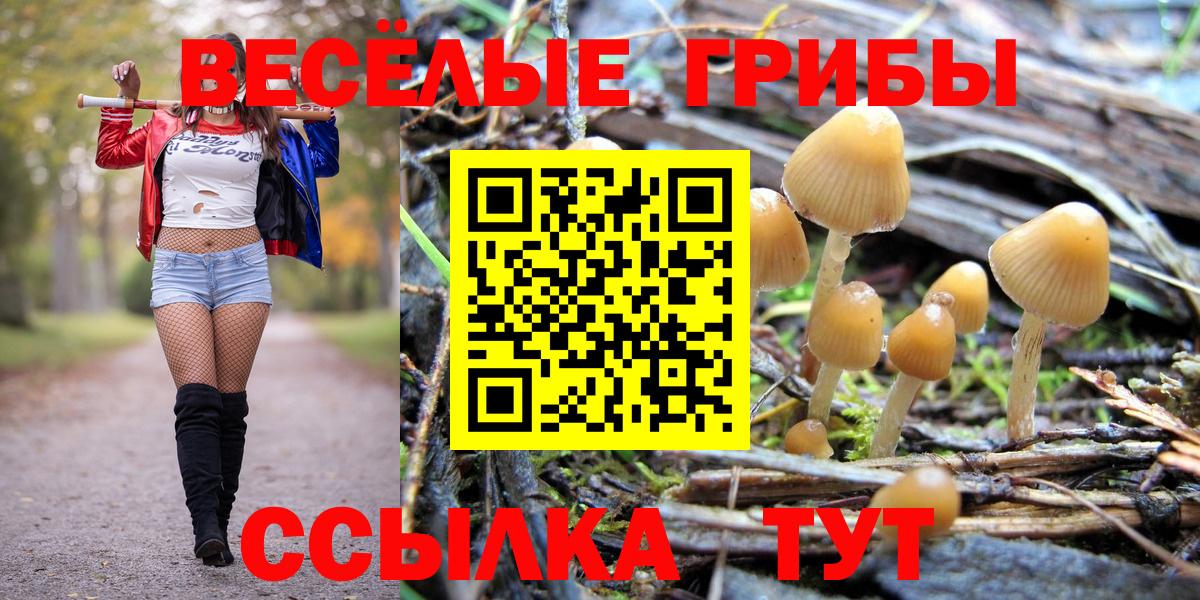 Псилоцибиновые грибы Magic Shrooms Кудымкар